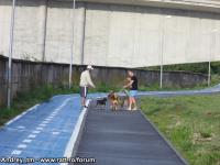 Imagine atasata: Pista Arad Mures (13).JPG